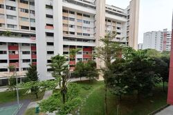 Blk 556 Jurong West Street 42 (Jurong West), HDB Executive #622197921